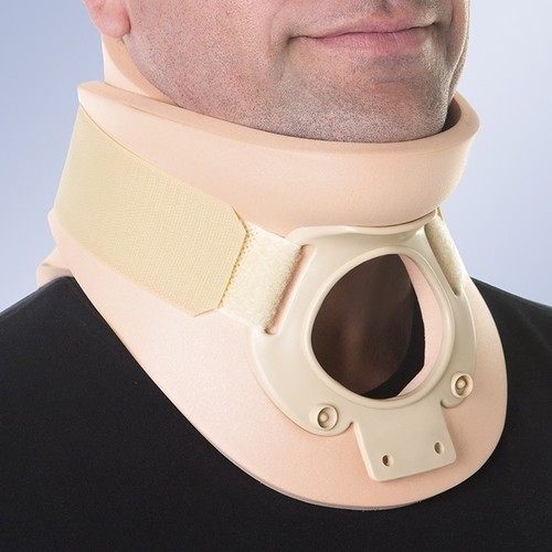Belly Protector